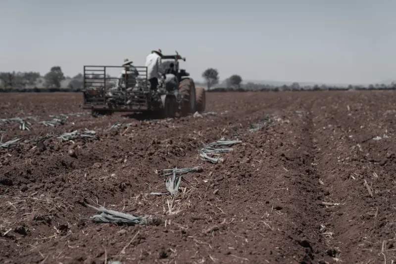 Riego inteligente: claves para optimizar el agua en agricultura