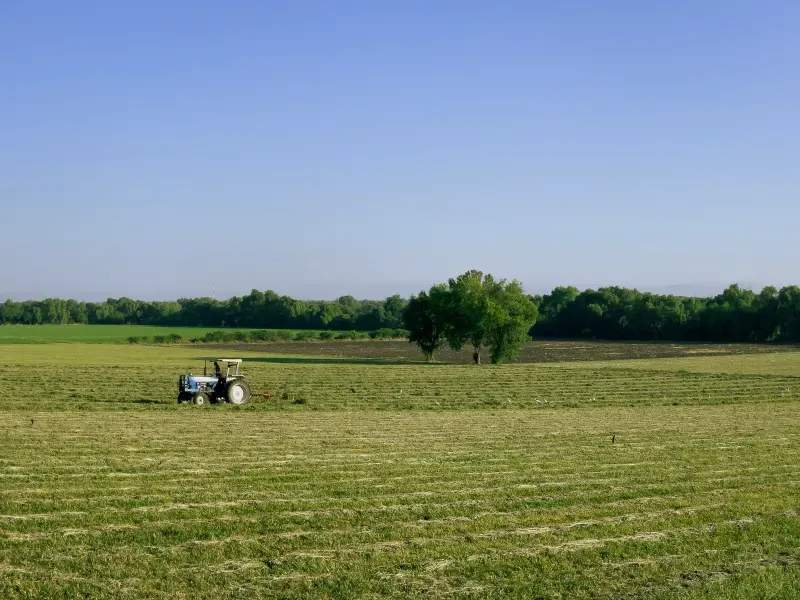 Planificación estacional para mejorar la organización agrícola