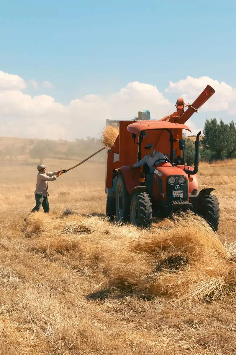 Asesoramiento técnico en riego, fertilización y manejo del suelo
