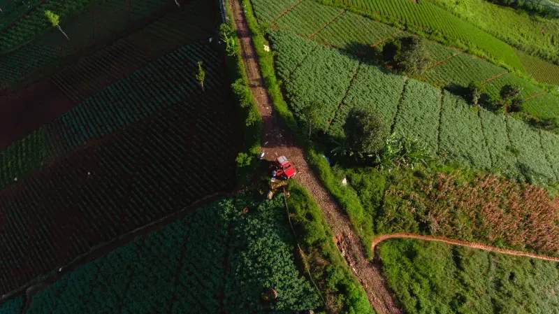 Suministro de insumos agrícolas y material para cultivo