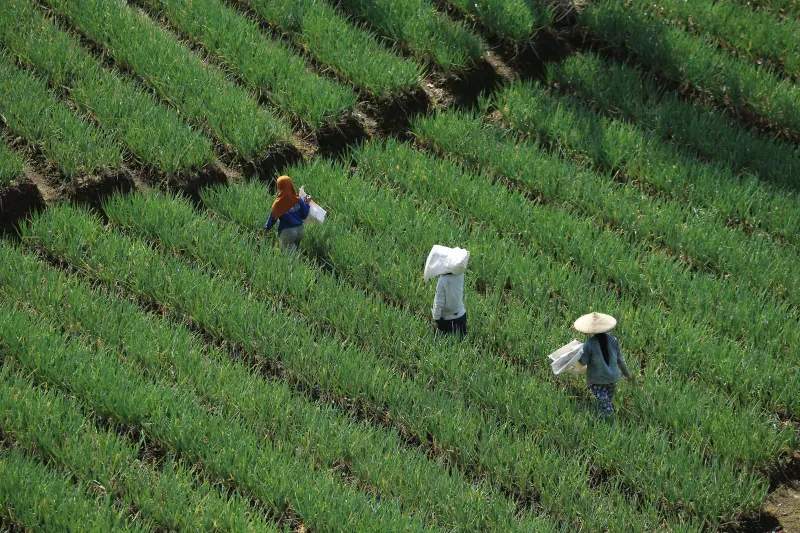 Selección, embalaje y preparación de producto para distribución