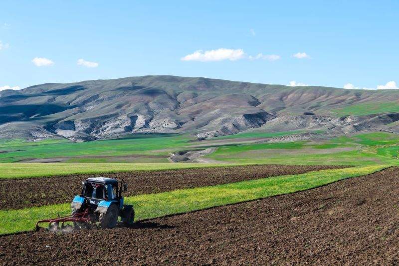 Planificación de campañas agrícolas según temporada